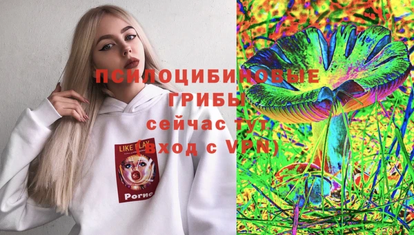 дмт Белокуриха