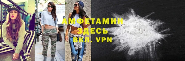 индика Новокубанск