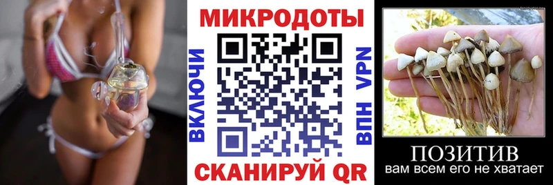 Галлюциногенные грибы Magic Shrooms  сколько стоит  Волосово 